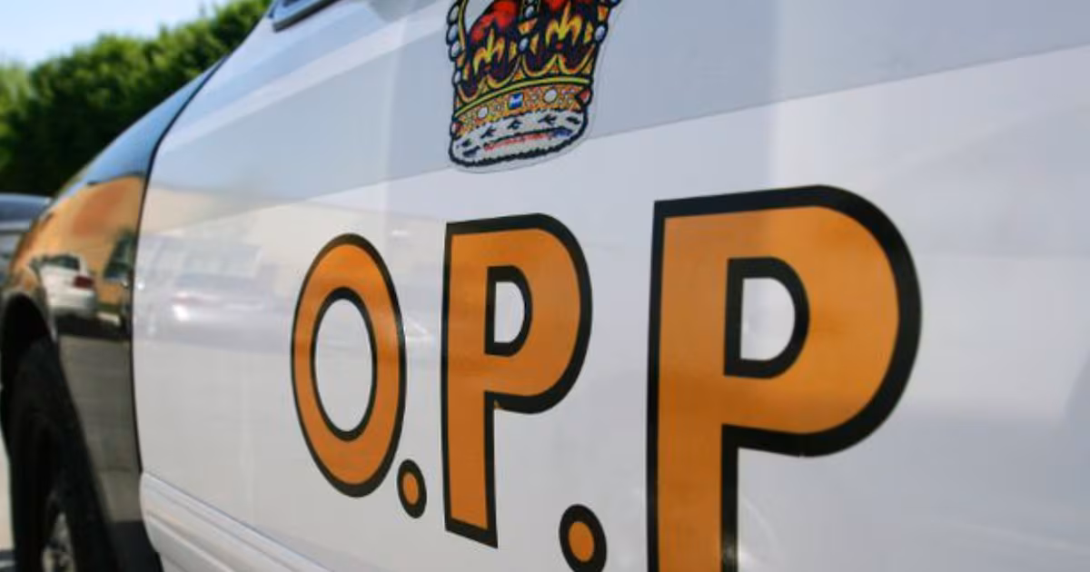 Ottawa man dies after boat capsizes on the St. Lawrence River - CTV News