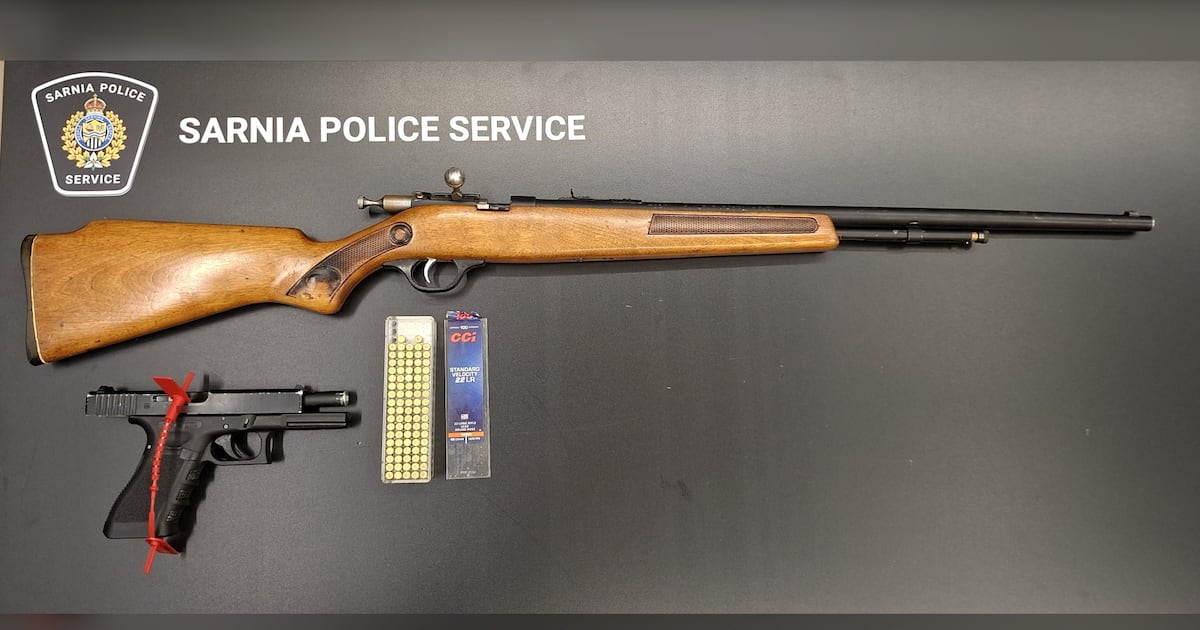 Intimate partner violence incident sparks hour-long standoff in Sarnia - CTV News