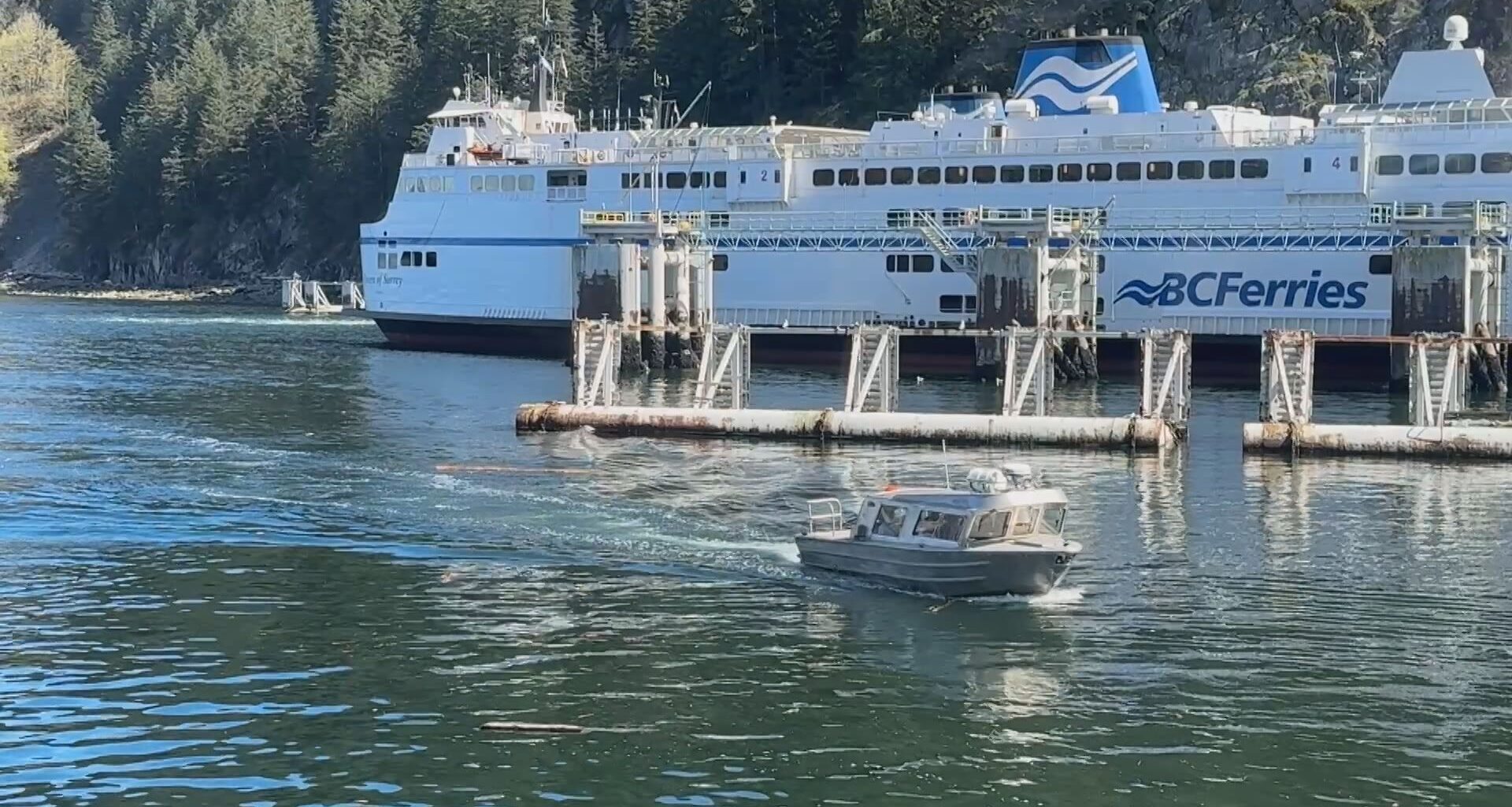 BC Ferries to use replacement ferry after Horseshoe-Langdale sailings cancelled