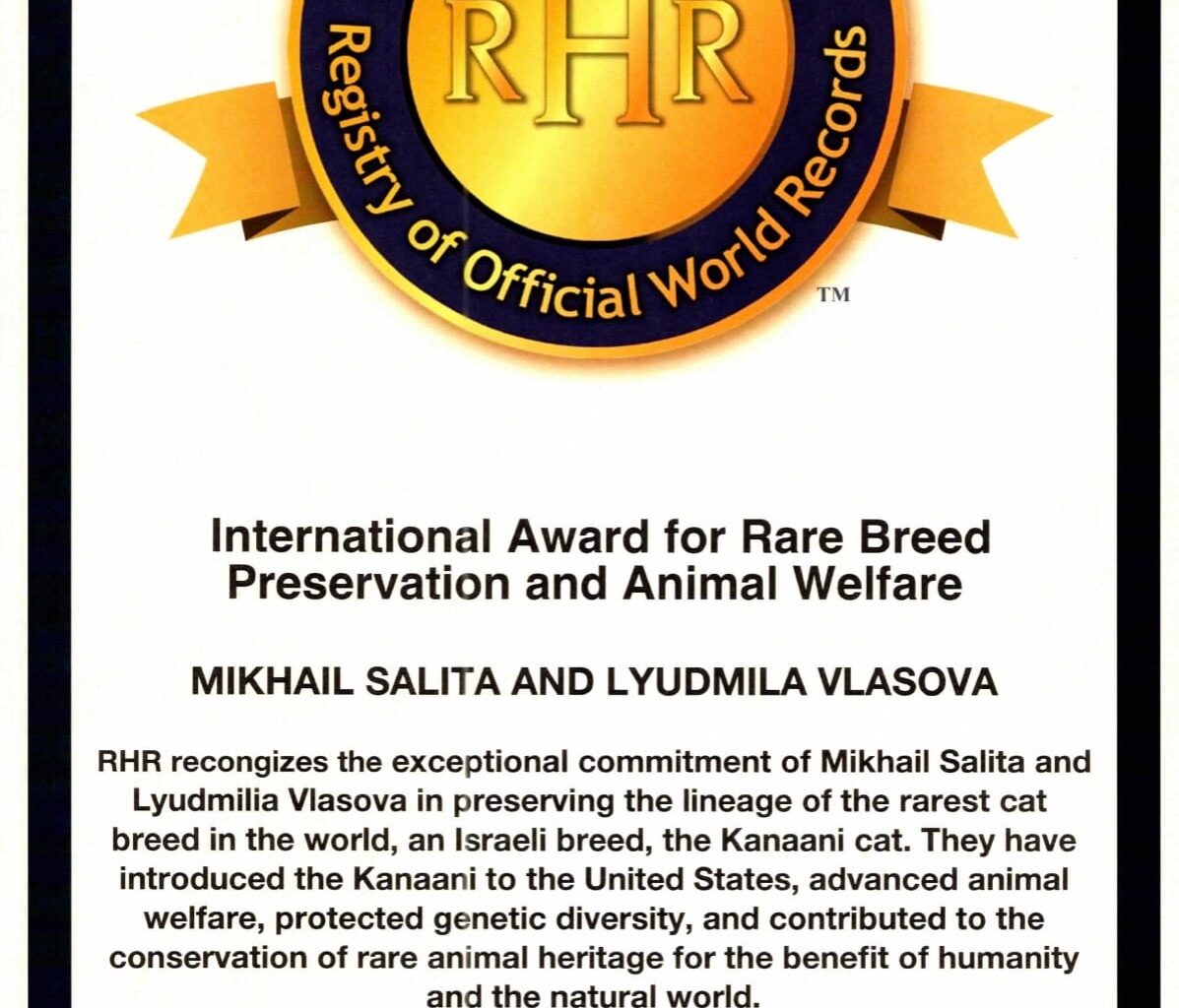 The Blogs: Kanaani: The Legendary Cat of Israel Returns | Mikhail Salita