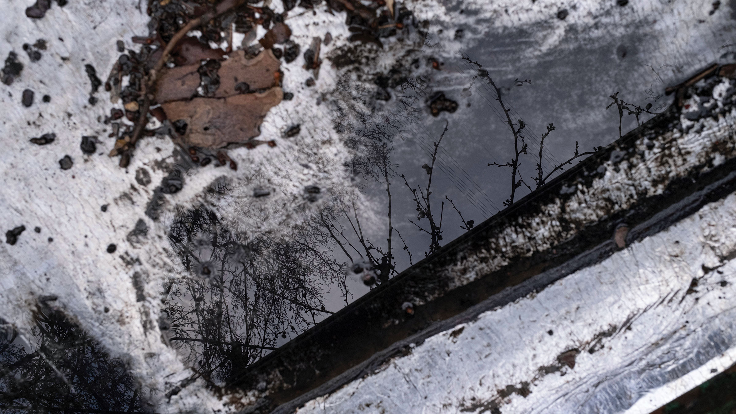 Close-up of a dark, oily residue on water showing a reflection of trees.