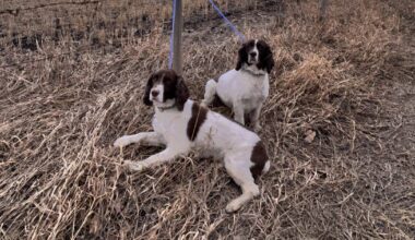 Blast of winter returning to Calgary Wednesday - CTV News