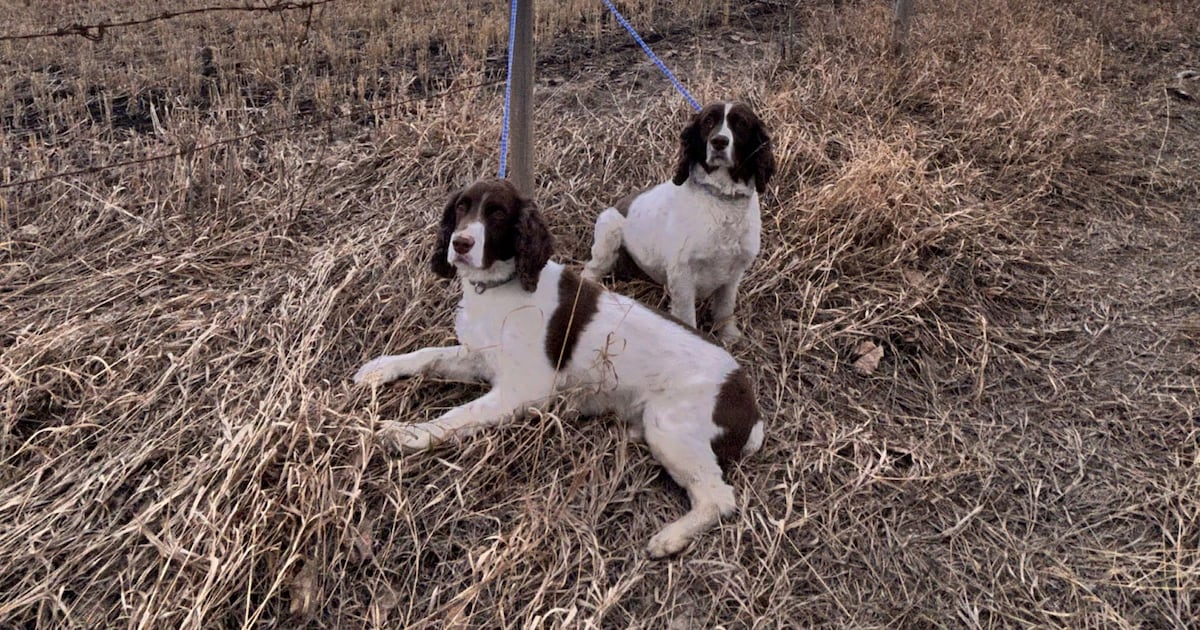 Blast of winter returning to Calgary Wednesday - CTV News