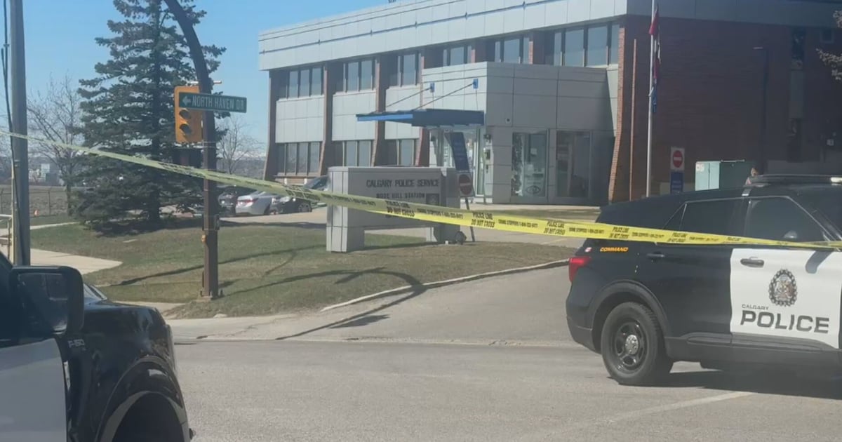 2 children dead, 1 man in custody in northwest Calgary - CTV News