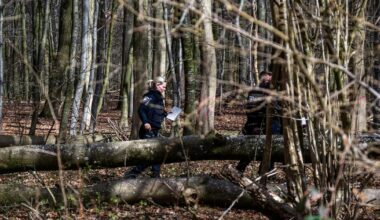 3 killed as high winds topple a tree on an Easter egg hunt in Germany - ctvnews.ca