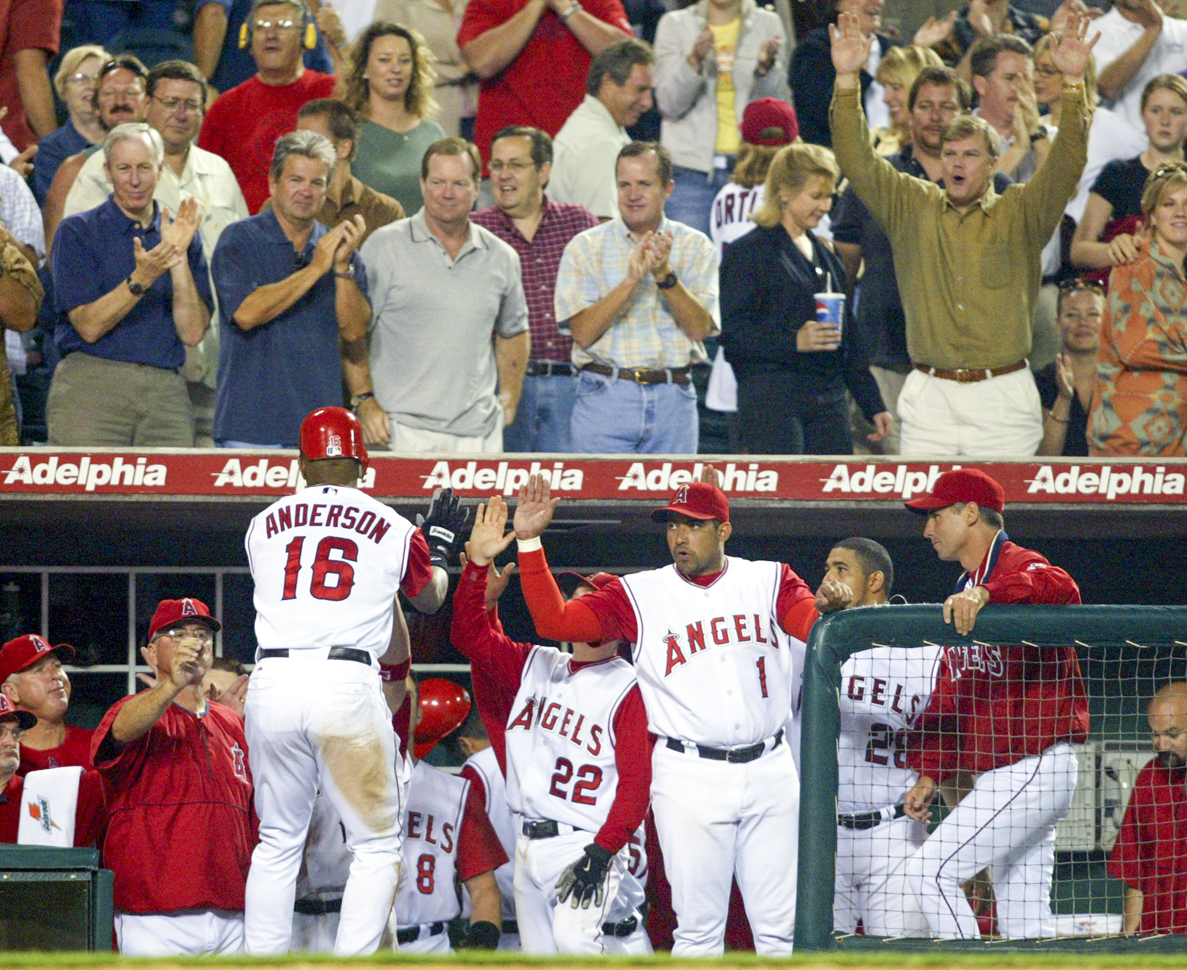 Garret Anderson (16) of the Angels is congratulated by teammates...