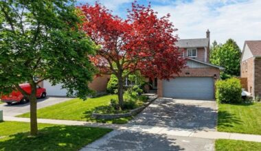 What homes you can buy in real estate markets that have had big price corrections