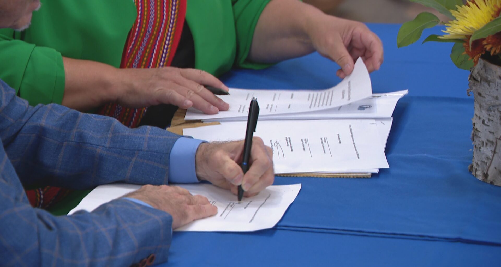 First Nations raise concerns as Métis self-government treaty advances in Parliament - National