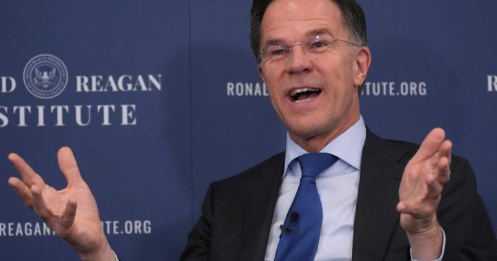 NATO chief says he understands Trump’s ‘disappointment’ with allies on Iran - National