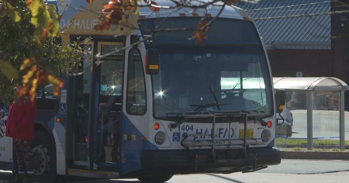 Halifax Transit sends warning about dangerous ‘bus surfing’ trend - Halifax