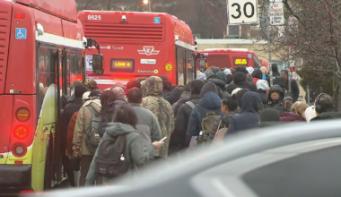TTC CEO apologizes, takes work car fleet out of service after second hydraulic fluid spill in one week - CTV News