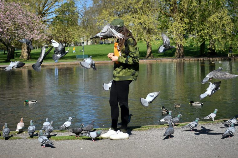 Pigeons fly around a woman who is feeding birds at St George's Park, Bristol, in cold, but sunny Spring weather. PA Photo. Picture date: Tuesday April 14, 2020. See PA story WEATHER Spring. Photo credit should read: Ben Birchall/PA Wire