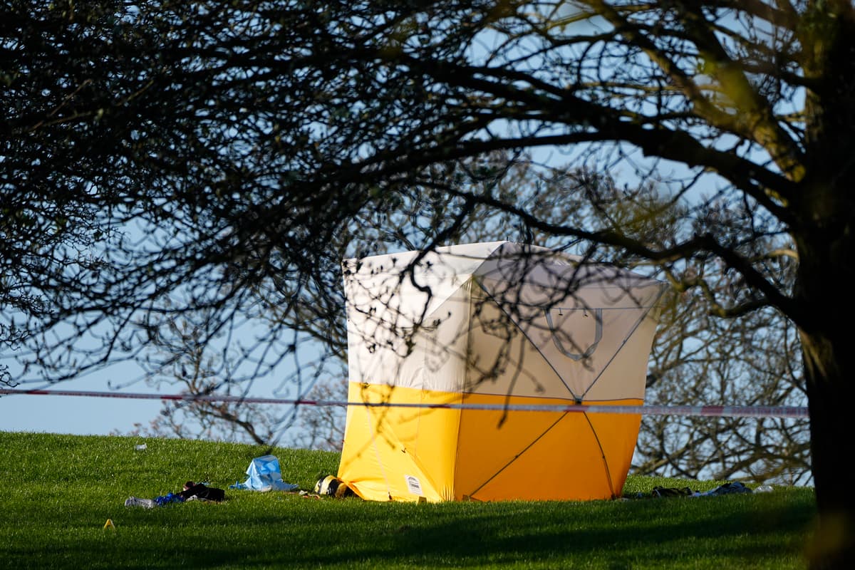 Man, 21, stabbed to death at Primrose Hill beauty spot - London Evening Standard