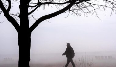 Special weather statement in effect for Toronto ahead of another deluge of rain - CTV News