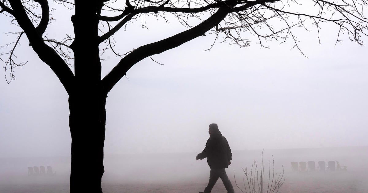 Special weather statement in effect for Toronto ahead of another deluge of rain - CTV News