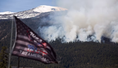 U.S. Forest Service will move headquarters from D.C. to Utah - The Washington Post