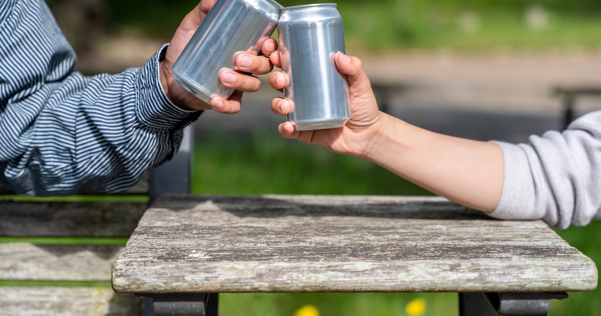 Ontario to allow alcohol in most places in provincial parks