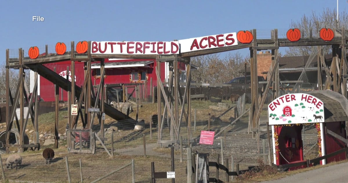 Calgary petting farm hit with outbreak of ‘diarrhea-causing parasite’ - CTV News