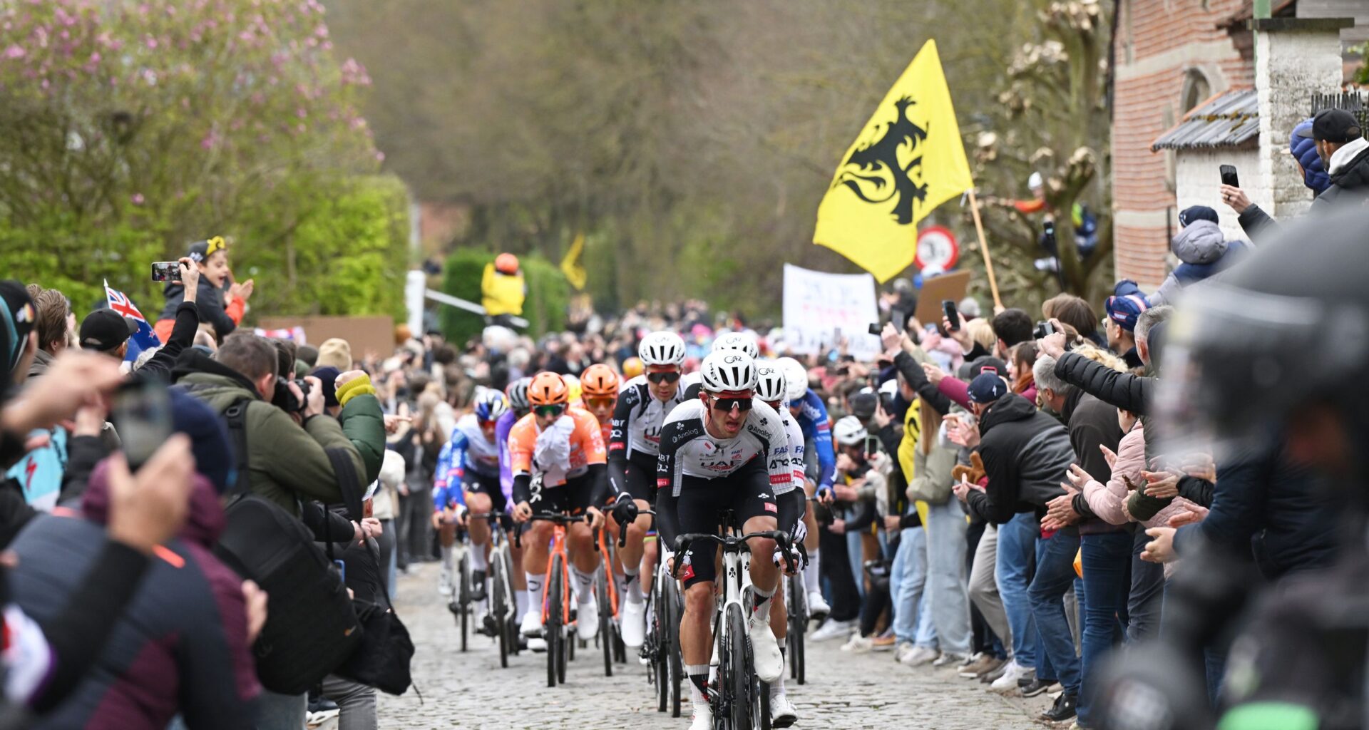 Tour of Flanders Men LIVE - The first cobbles sections have been tackled