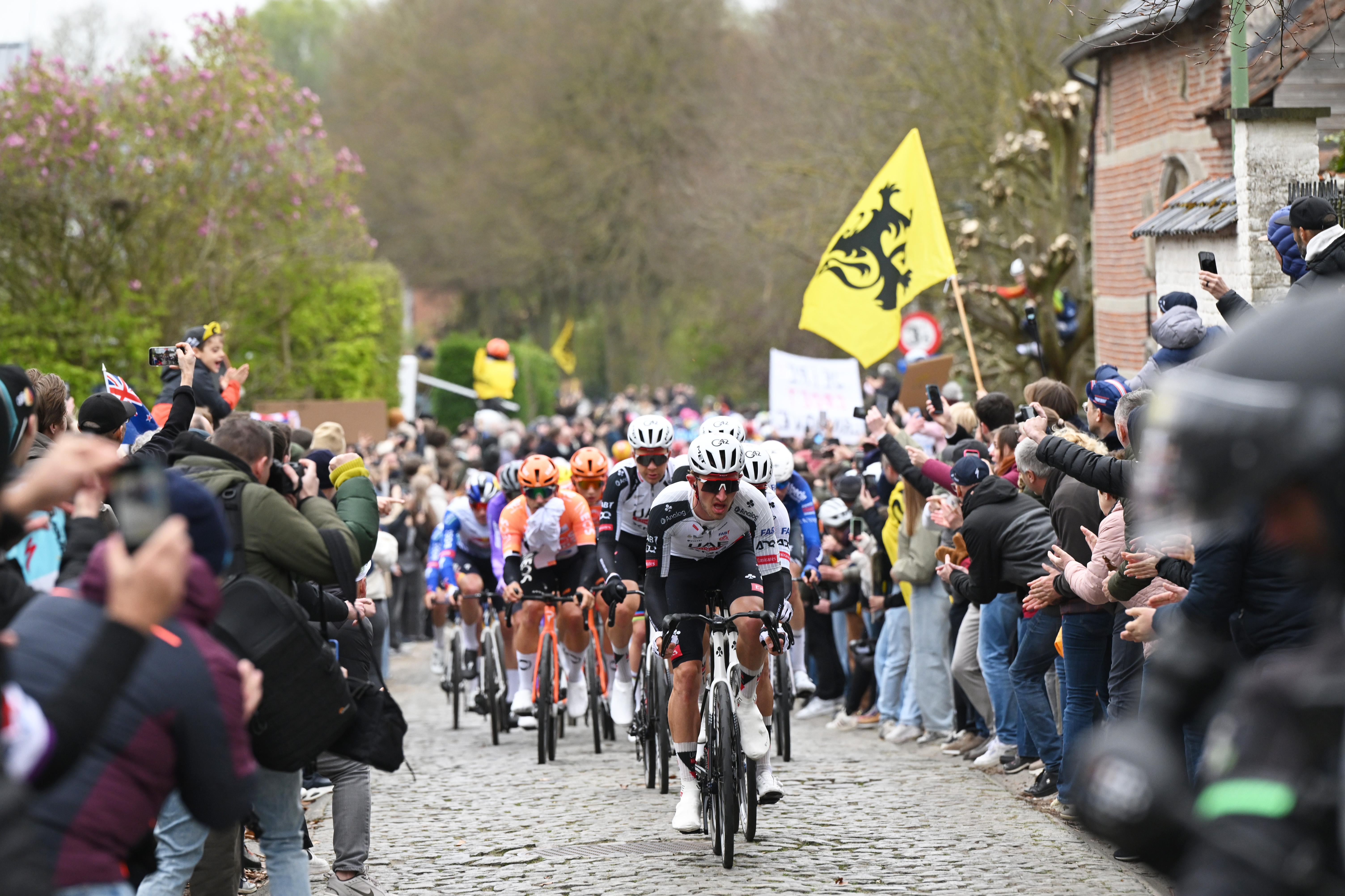 OUDENAARDE, BELGIUM - APRIL 05: Mikkel Bjerg of Denmark and UAE Team Emirates - XRG leads the peloton during the 110th Tour of Flanders - Ronde van Vlaanderen 2026 - Men&amp;apos;s Elite a 278.6km one day race from Antwerp to Oudenaarde / #UCIWT / on April 05, 2026 in Oudenaarde, Belgium. (Photo by Dario Belingheri/Getty Images)