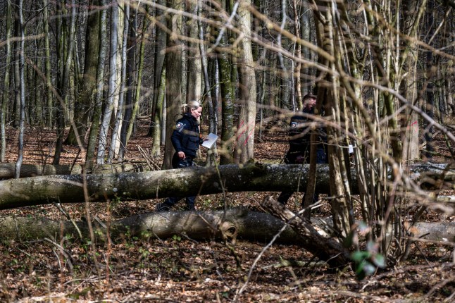 Schleswig-Holstein, Flensburg: Police officers stand next to a fallen tree in a wooded area south-east of Flensburg, Germany on Sunday, April 5, 2026. (Benjamin Nolte/dpa via AP)