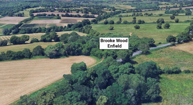 https://www.london-now.co.uk/news/25999367.enfield-brooke-wood---human-skull-found-hanging-tree/ Brooke Wood ENfield