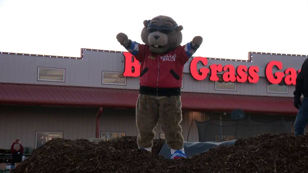 Click to play video: 'Groundhog Day 2026: Balzac Billy predicts six more weeks of winter for Alberta'
