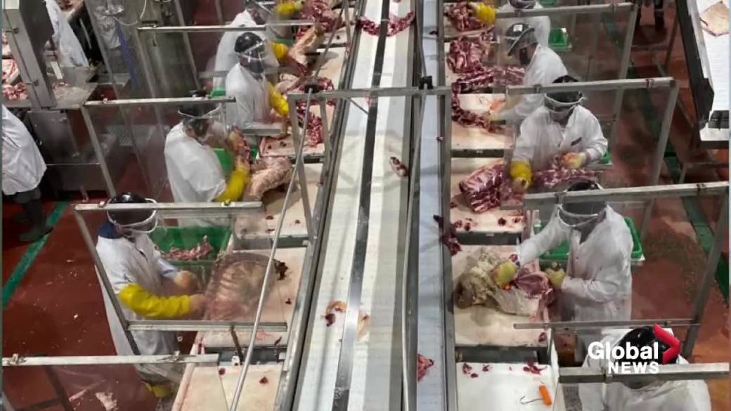 Click to play video: 'Alberta push to suspend temporary foreign worker program concerning for food industry'