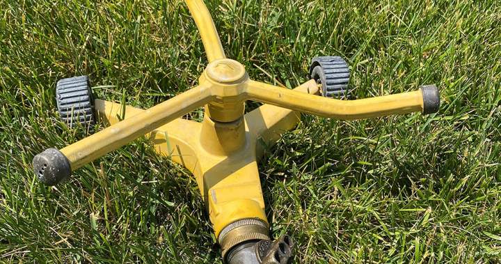 Metro Vancouver moving straight to Stage 2 water restrictions on May 1 - BC