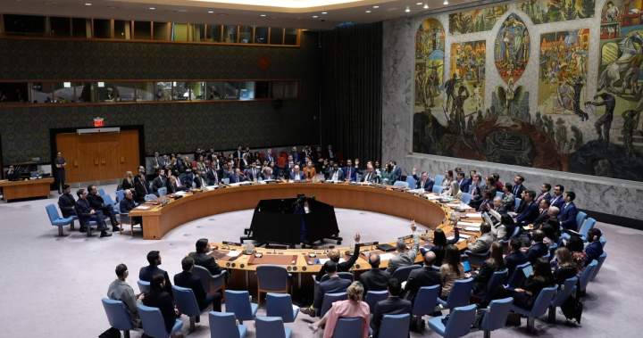 Russia, China veto UN Security Council measure to reopen Strait of Hormuz - National