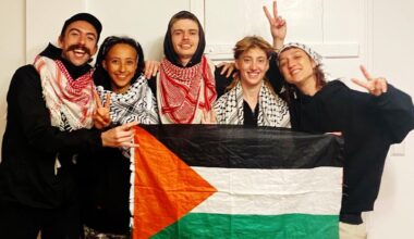 Pro-Palestine group accused of raiding Elbit factory face trial in Germany | Protests News