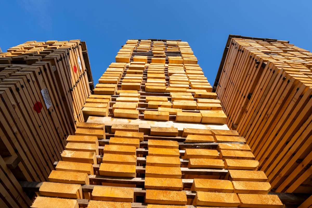 U.S. reduces duty rates on Canadian softwood but levies still hefty