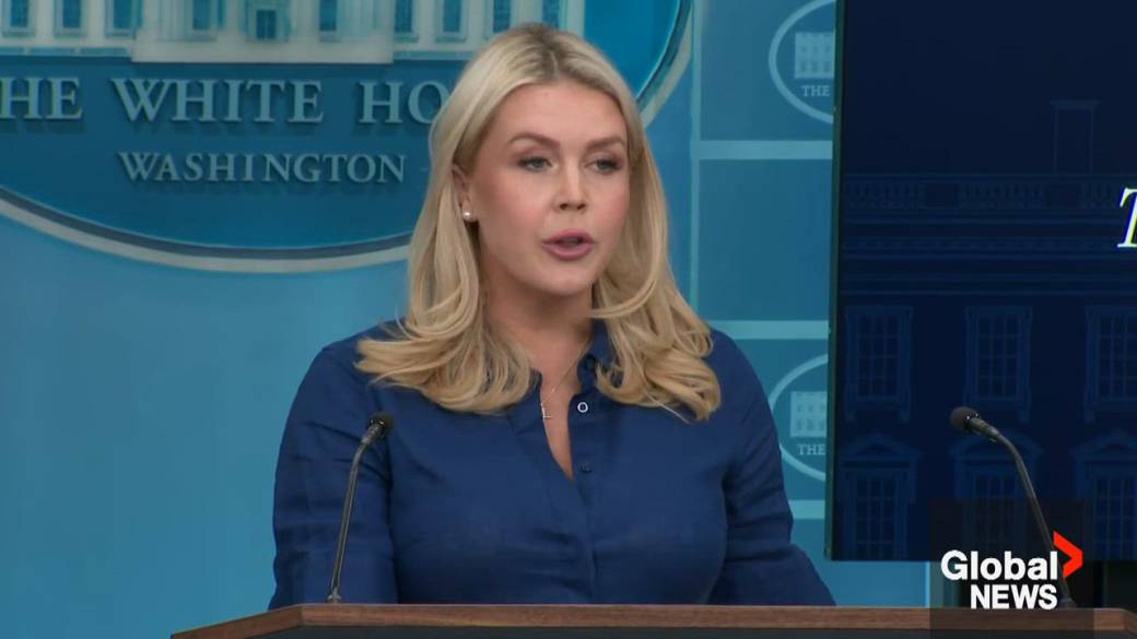 Click to play video: 'Trump will hold Iran accountable for keeping Strait of Hormuz open, White House says'