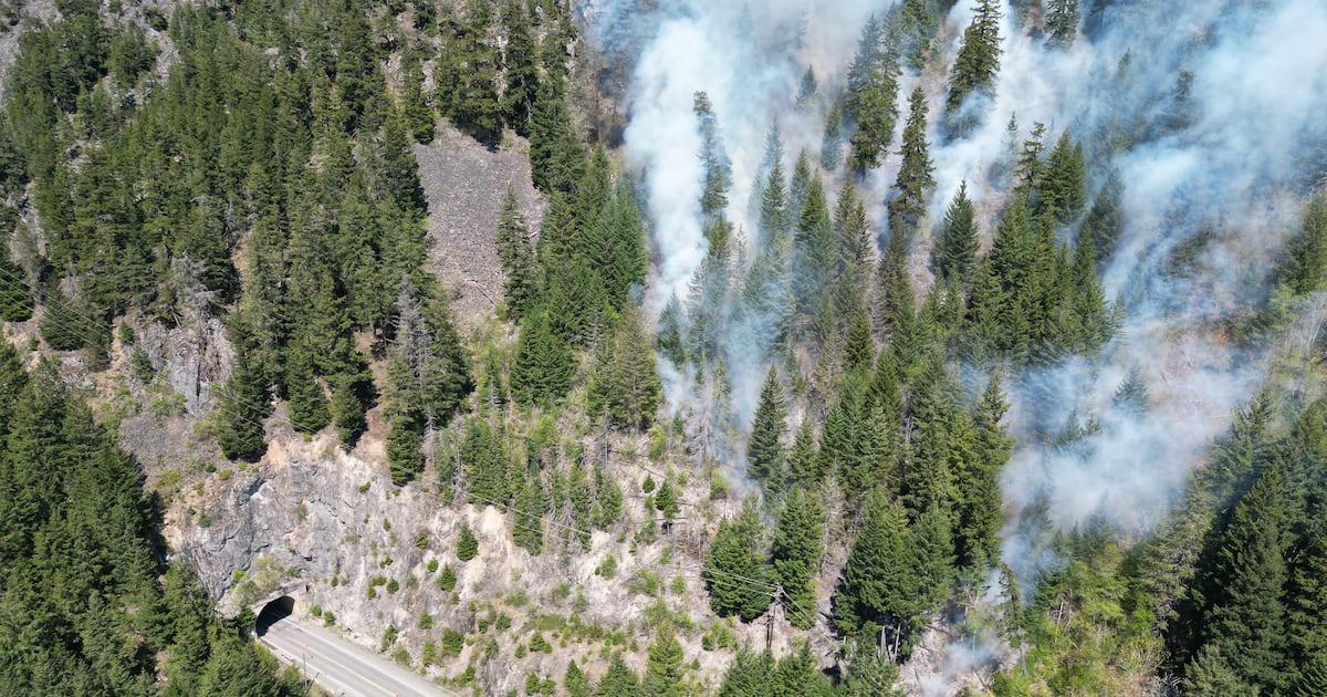 Wildfire burning near Trans-Canada Highway in B.C. grows to 40 hectares - CTV News