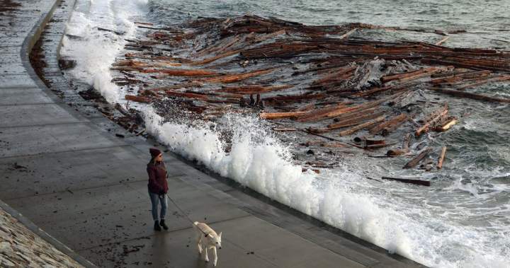 Strong winds forecast for much of B.C. starting Monday: Environment Canada