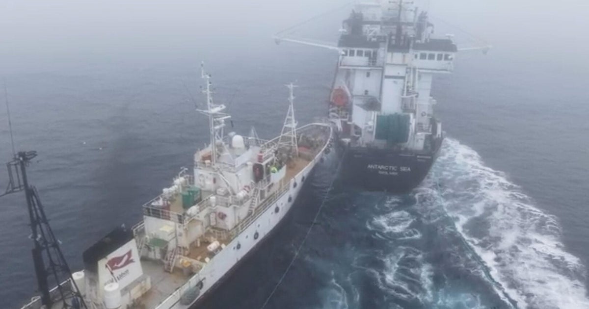 Antarctica Krill Ship Collision