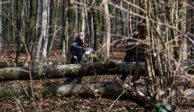 Falling tree kills 3, including 10-month-old, during Easter egg hunt in Germany