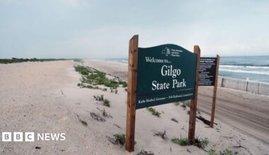 A crowd assembles on a suburban street behind police tape and police vehicles