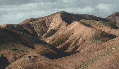 The Blogs: To Zion, with love | Karen Abrams Gerber