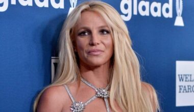 Britney Spears admits herself into rehab ahead of DUI arrest court date - National