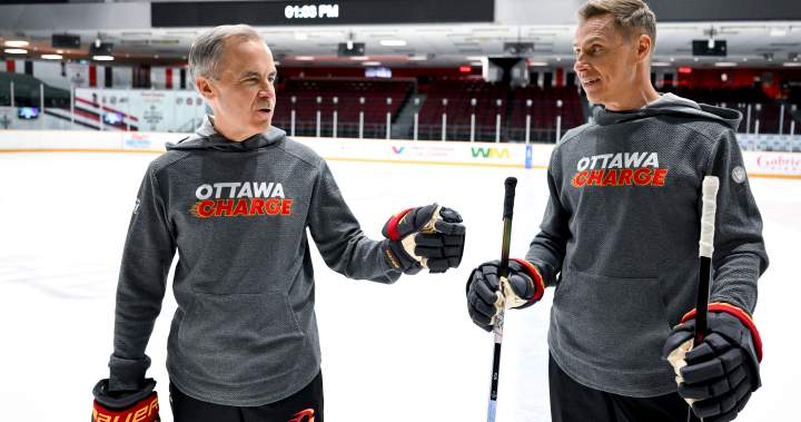 5 things Canada and Finland have in common as NATO ally’s leader visits - National