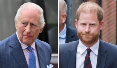Will King Charles & Prince Harry Reunite During 2026 State Visit?