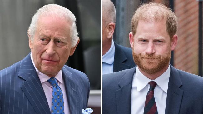Will King Charles & Prince Harry Reunite During 2026 State Visit?
