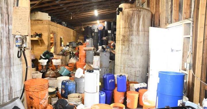 RCMP share photos, details of drugs seized from Chilliwack lab - BC