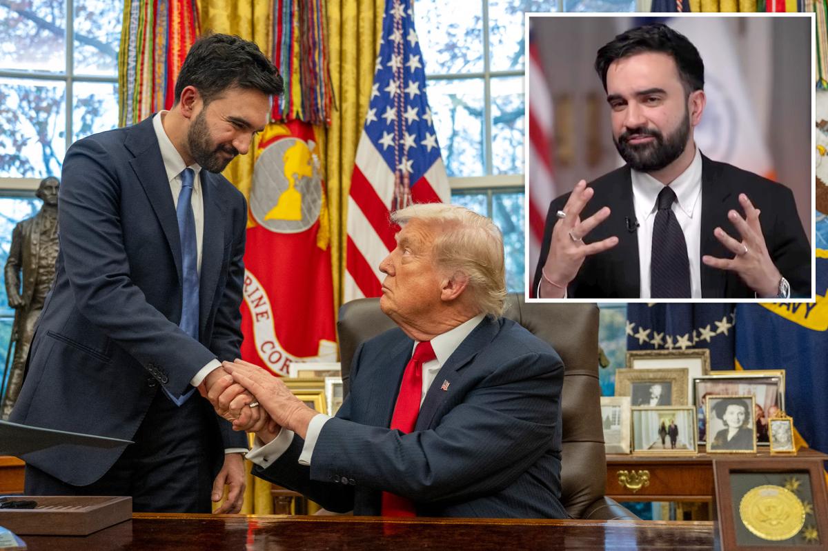 Zohran Mamdani goes scorched earth on Dems' lack of 'vision,' but praises 'productive' bromance with Trump