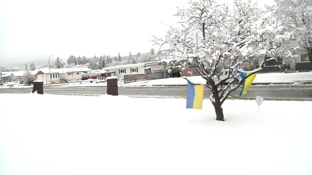 Click to play video: 'Cranbrook gets 10 centimetres of snow'