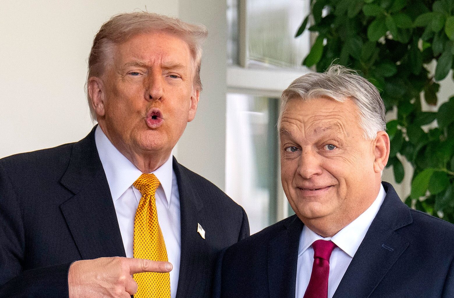 Viktor Orbán's defeat showed Democrats how to end Trump's rule.