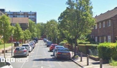 A suburban street with low rise buildings and cars parked on both sides of the road. There are trees in bloom and green hedges and grass. A block of flats is visible at the end of the street.