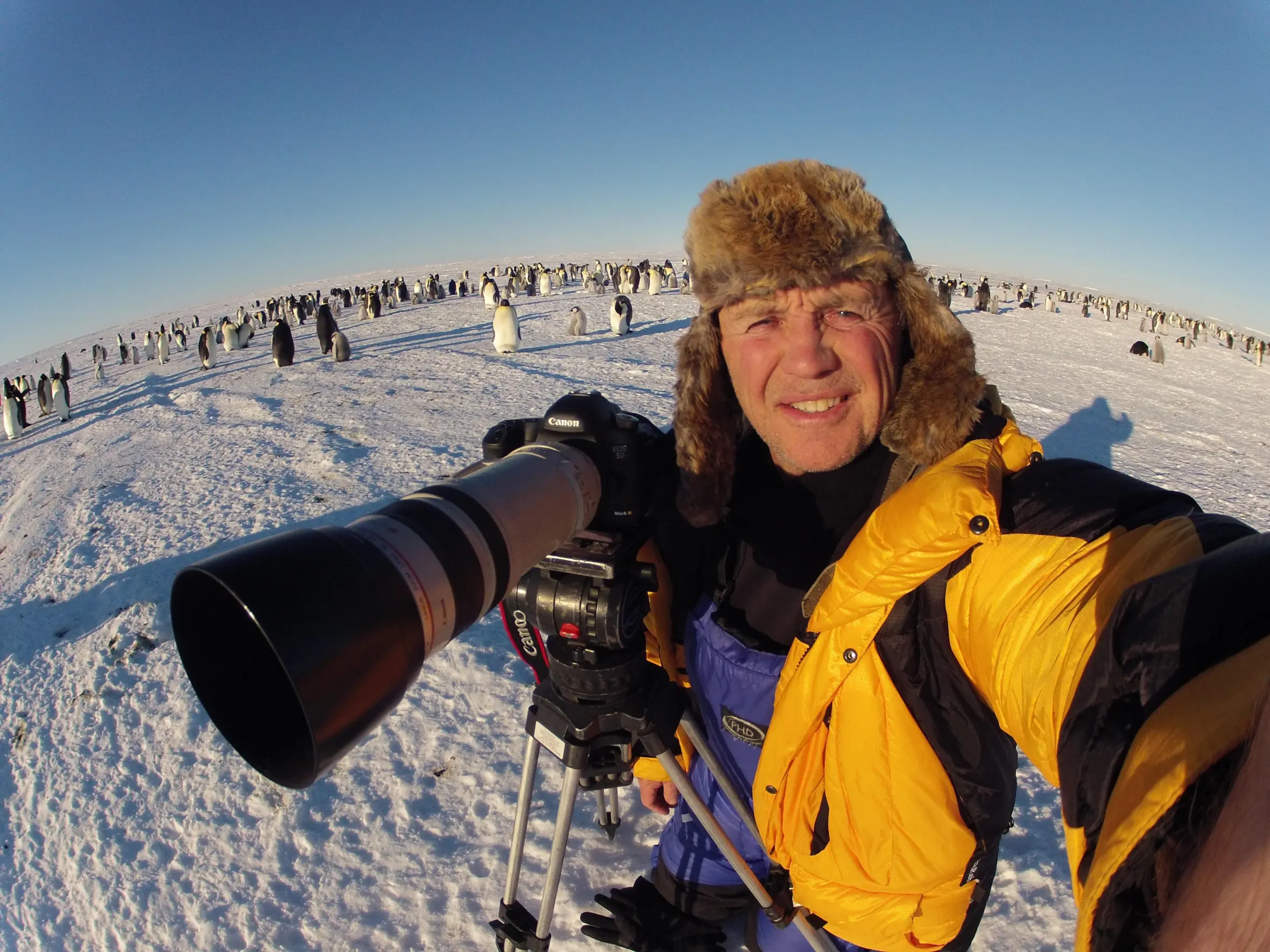 Cameraman Doug Allan in winter gear and a fur hat, holding a camera pointed towards a large colony of penguins on a snowy field.