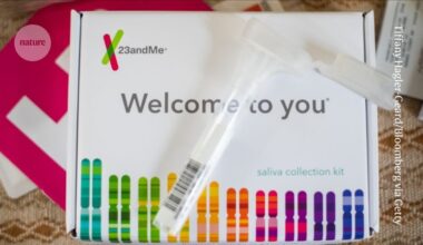 Why obesity drugs work better for some people: these genes hold clues